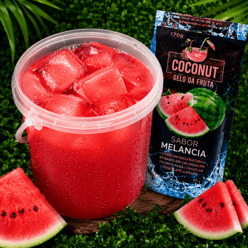 Baldão Melancia Gin Bora Beber